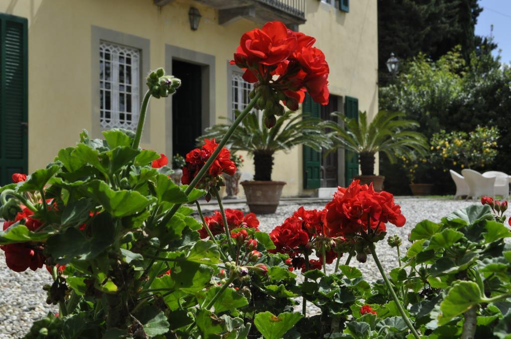 Villa Pedone Lucca Exterior foto